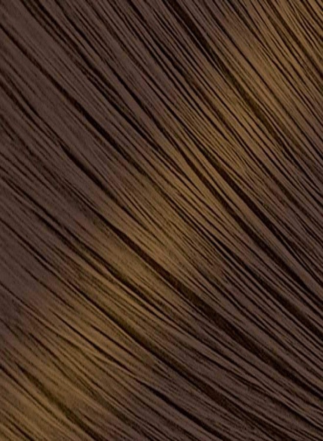 Bigen Speedy Conditioning Color Refill: 2 Light Warm Chestnut - 3 Pack - Image 2